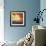 Autumn Glow II-Julia Purinton-Framed Art Print displayed on a wall