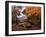 Autumn Gold-Alfred Oliver-Framed Giclee Print