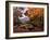 Autumn Gold-Alfred Oliver-Framed Giclee Print