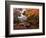 Autumn Gold-Alfred Oliver-Framed Premium Giclee Print