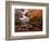 Autumn Gold-Alfred Oliver-Framed Giclee Print