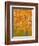 Autumn Gold-J Charles-Framed Art Print