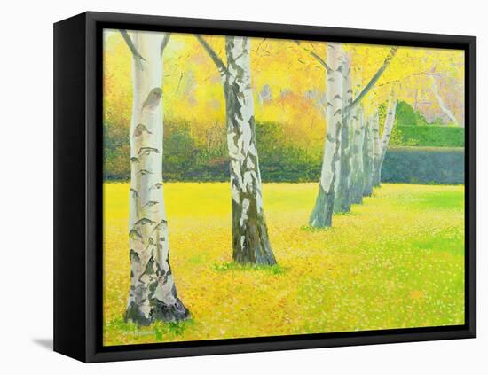 Autumn Gold-William Ireland-Framed Premier Image Canvas