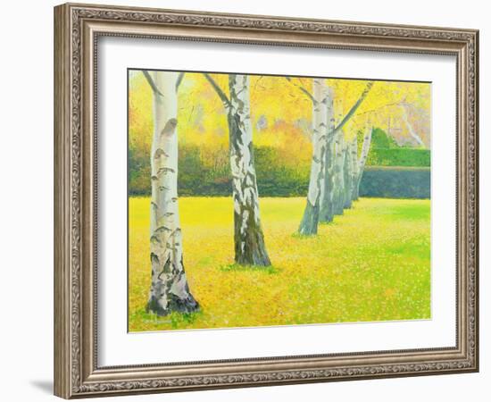 Autumn Gold-William Ireland-Framed Giclee Print