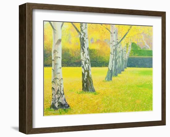 Autumn Gold-William Ireland-Framed Giclee Print