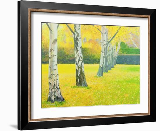 Autumn Gold-William Ireland-Framed Giclee Print