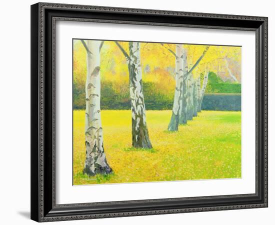 Autumn Gold-William Ireland-Framed Giclee Print