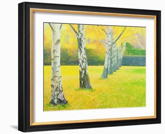 Autumn Gold-William Ireland-Framed Giclee Print