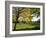 Autumn Golf-Charles Bowman-Framed Photographic Print