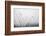 Autumn Grasses-Aledanda-Framed Photographic Print