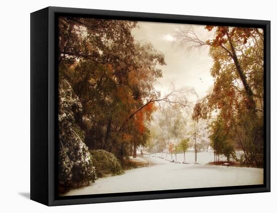 Autumn Greets Winter-Jessica Jenney-Framed Premier Image Canvas