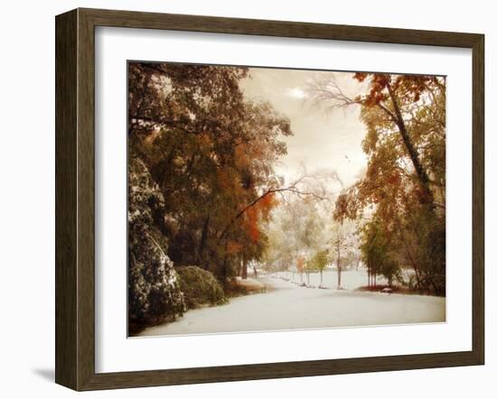 Autumn Greets Winter-Jessica Jenney-Framed Photographic Print