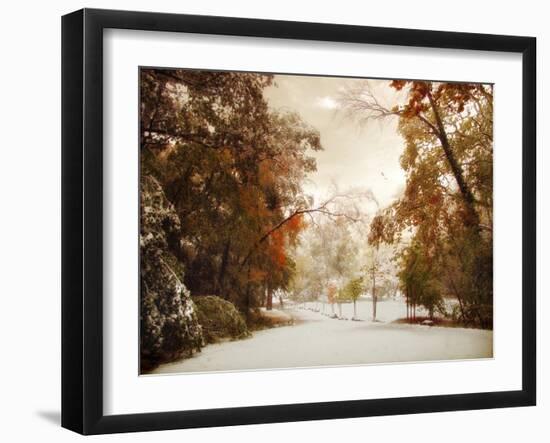 Autumn Greets Winter-Jessica Jenney-Framed Photographic Print