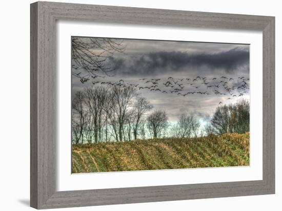 Autumn Grey Sky and Geese-Robert Goldwitz-Framed Photographic Print