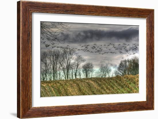 Autumn Grey Sky and Geese-Robert Goldwitz-Framed Photographic Print