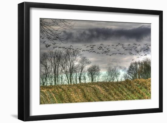 Autumn Grey Sky and Geese-Robert Goldwitz-Framed Photographic Print