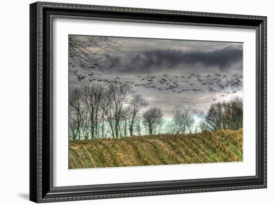 Autumn Grey Sky and Geese-Robert Goldwitz-Framed Photographic Print