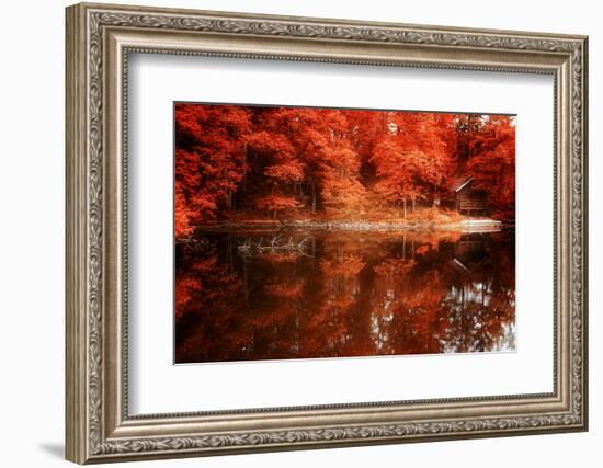 Autumn Happy Hour-Philippe Sainte-Laudy-Framed Photographic Print