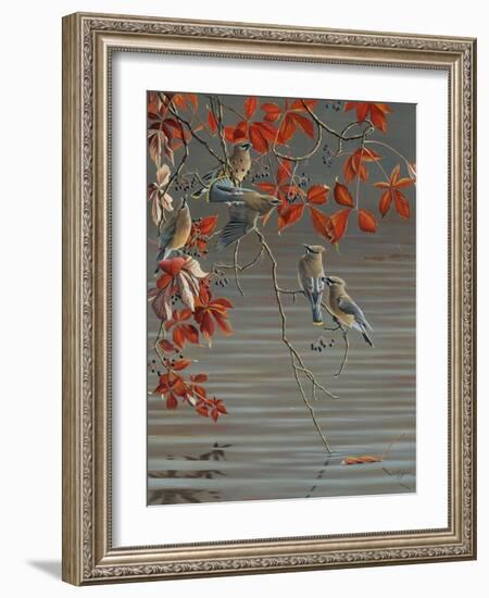 Autumn Harvest - Cedar Waxwing-Wilhelm Goebel-Framed Giclee Print