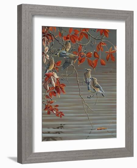 Autumn Harvest - Cedar Waxwing-Wilhelm Goebel-Framed Giclee Print