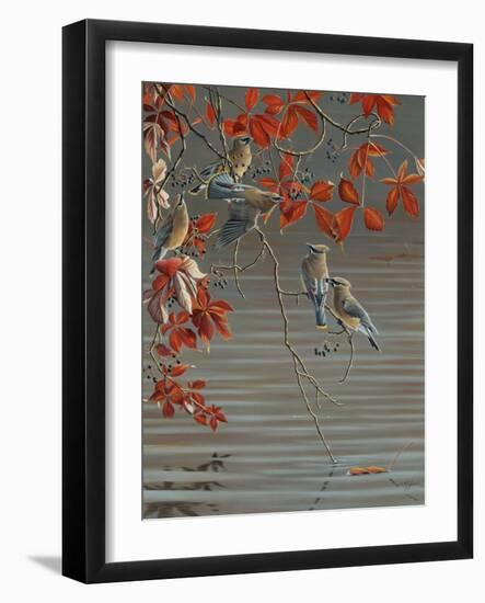 Autumn Harvest - Cedar Waxwing-Wilhelm Goebel-Framed Giclee Print