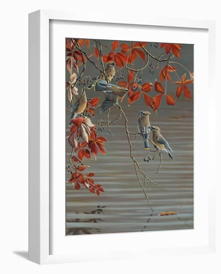 Autumn Harvest - Cedar Waxwing-Wilhelm Goebel-Framed Giclee Print