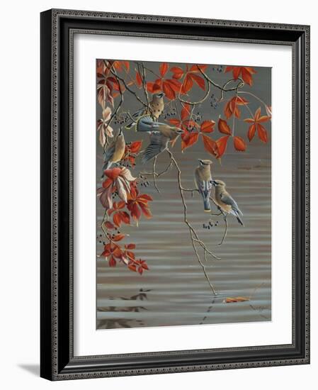 Autumn Harvest - Cedar Waxwing-Wilhelm Goebel-Framed Giclee Print