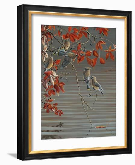 Autumn Harvest - Cedar Waxwing-Wilhelm Goebel-Framed Giclee Print