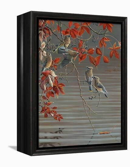 Autumn Harvest - Cedar Waxwing-Wilhelm Goebel-Framed Premier Image Canvas