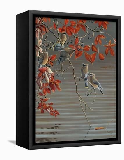 Autumn Harvest - Cedar Waxwing-Wilhelm Goebel-Framed Premier Image Canvas