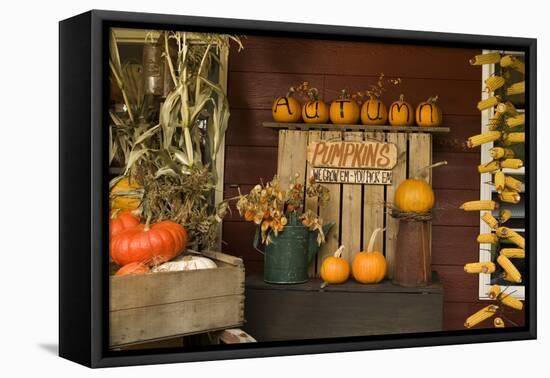 Autumn Harvest III-Philip Clayton-thompson-Framed Premier Image Canvas