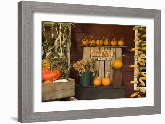 Autumn Harvest III-Philip Clayton-thompson-Framed Photographic Print