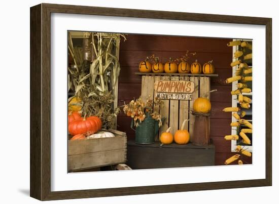 Autumn Harvest III-Philip Clayton-thompson-Framed Photographic Print