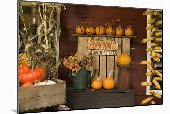 Autumn Harvest III-Philip Clayton-thompson-Mounted Photographic Print