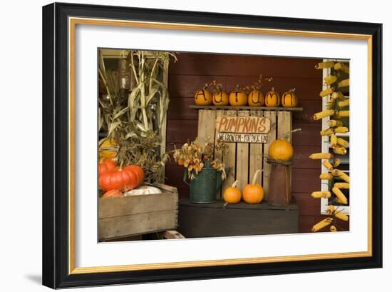 Autumn Harvest III-Philip Clayton-thompson-Framed Photographic Print