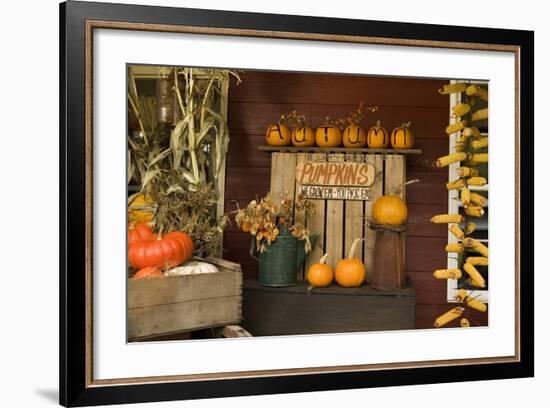 Autumn Harvest III-Philip Clayton-thompson-Framed Photographic Print