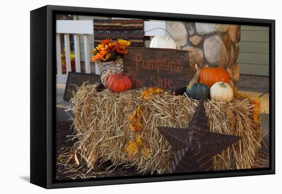 Autumn Harvest IV-Philip Clayton-thompson-Framed Premier Image Canvas