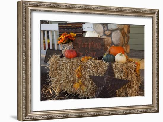 Autumn Harvest IV-Philip Clayton-thompson-Framed Photographic Print