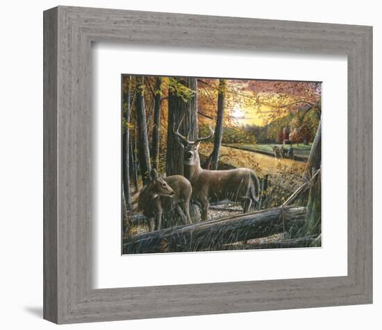 Autumn Harvest-Kevin Daniel-Framed Art Print