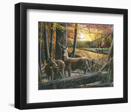 Autumn Harvest-Kevin Daniel-Framed Art Print