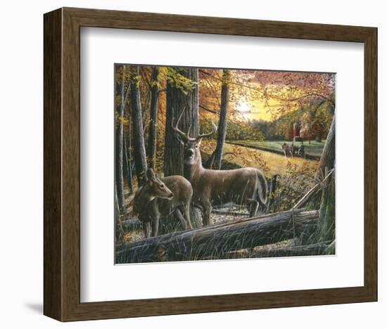 Autumn Harvest-Kevin Daniel-Framed Art Print