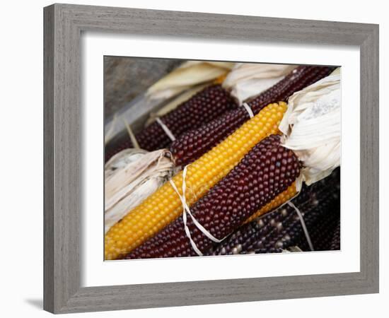 Autumn Harvest-Nicole Katano-Framed Photo