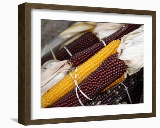 Autumn Harvest-Nicole Katano-Framed Photo