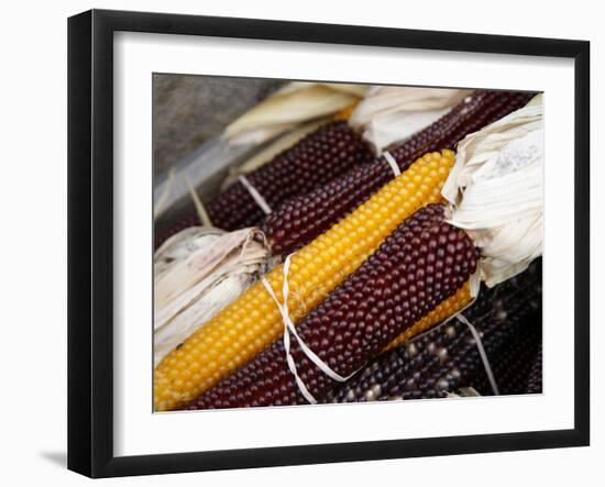 Autumn Harvest-Nicole Katano-Framed Photo