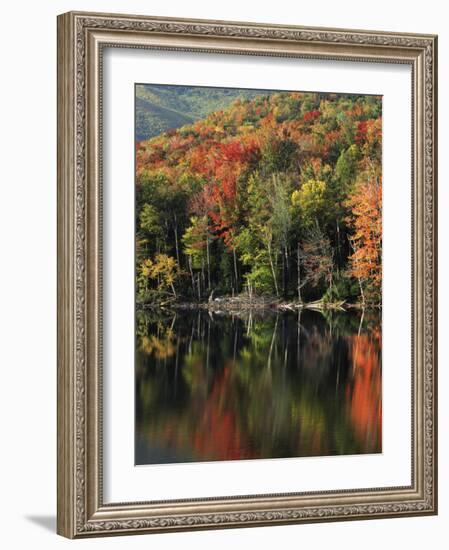 Autumn, Heart Lake, New York, USA-Charles Gurche-Framed Photographic Print