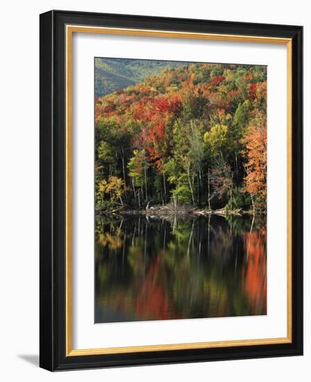 Autumn, Heart Lake, New York, USA-Charles Gurche-Framed Photographic Print