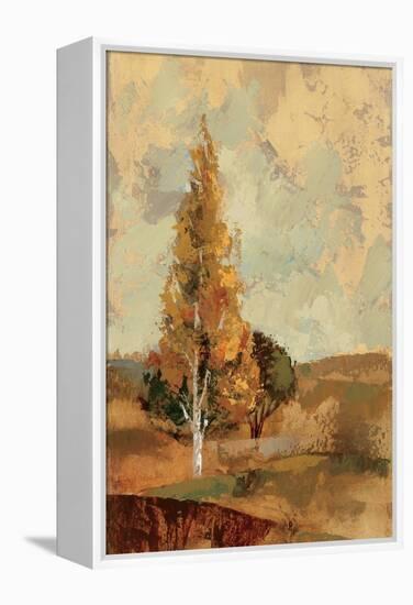 Autumn Hills II-Silvia Vassileva-Framed Stretched Canvas
