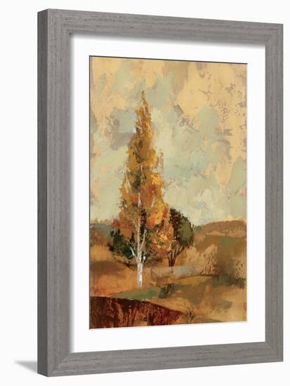 Autumn Hills II-Silvia Vassileva-Framed Art Print