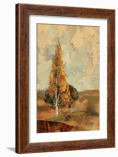 Autumn Hills II-Silvia Vassileva-Framed Art Print