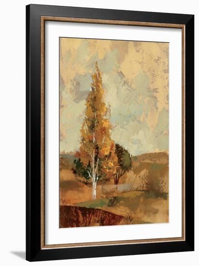 Autumn Hills II-Silvia Vassileva-Framed Art Print